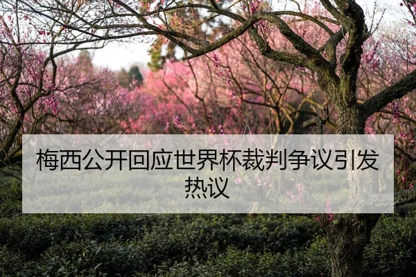 梅西公开回应世界杯裁判争议引发热议